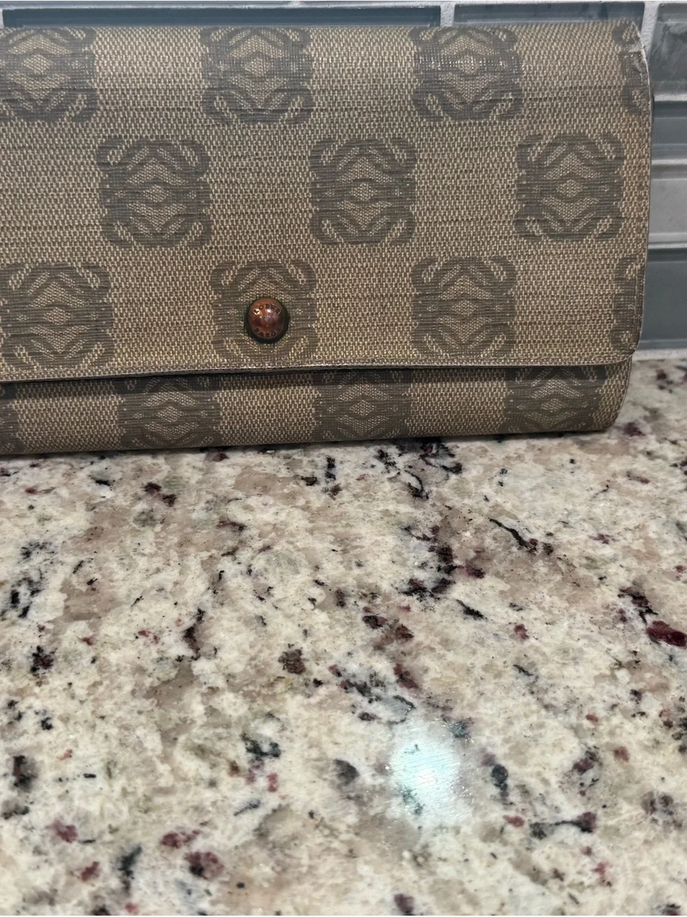 Loewe Patterned Beige Canvas Clutch Wallet